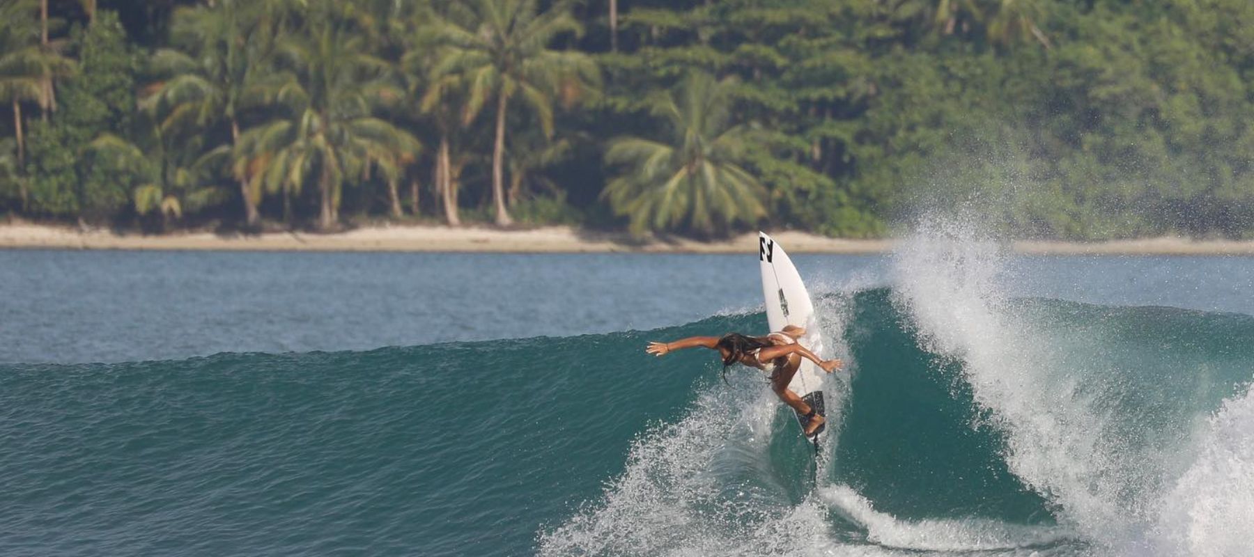 The Thrill of Surfing