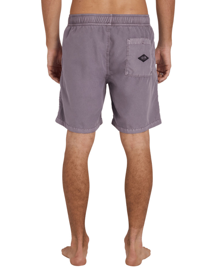 All Day Ovedye Layback Boardshort