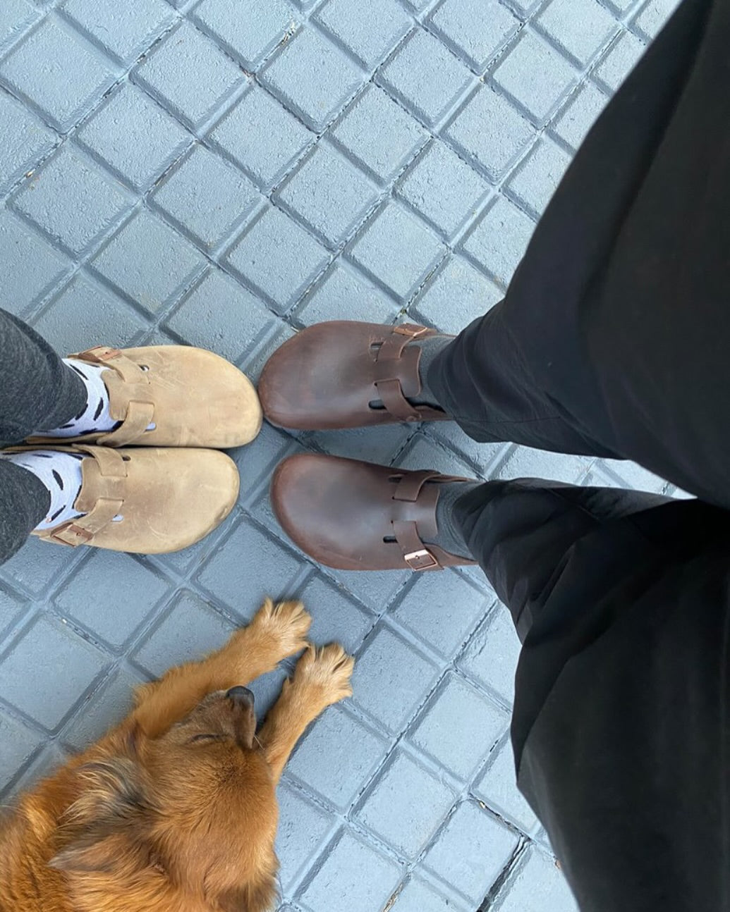 BIRKENSTOCK
Boston Oiled Leather Regular habana