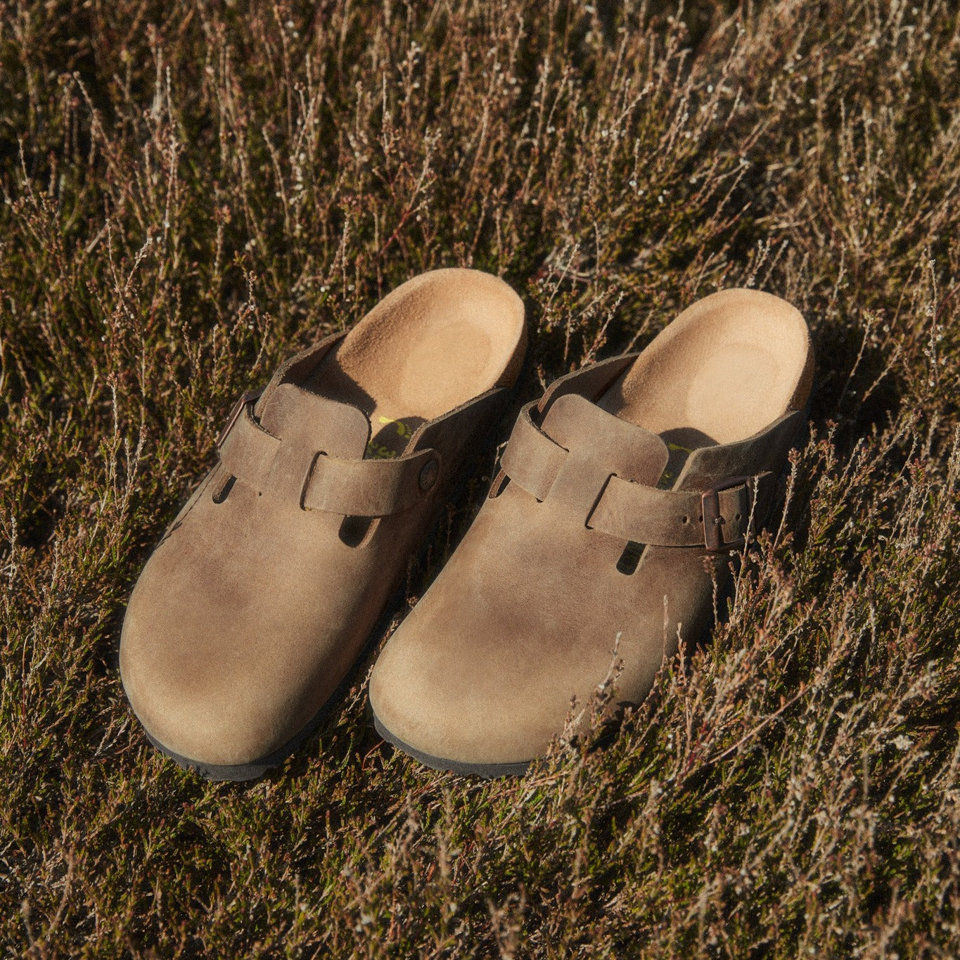 BIRKENSTOCK
Boston Oiled Leather Regular tabacco brown