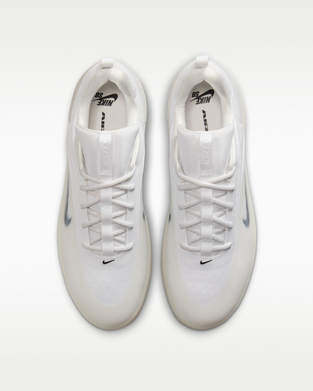 Zoom Nyjah 4 Shoe