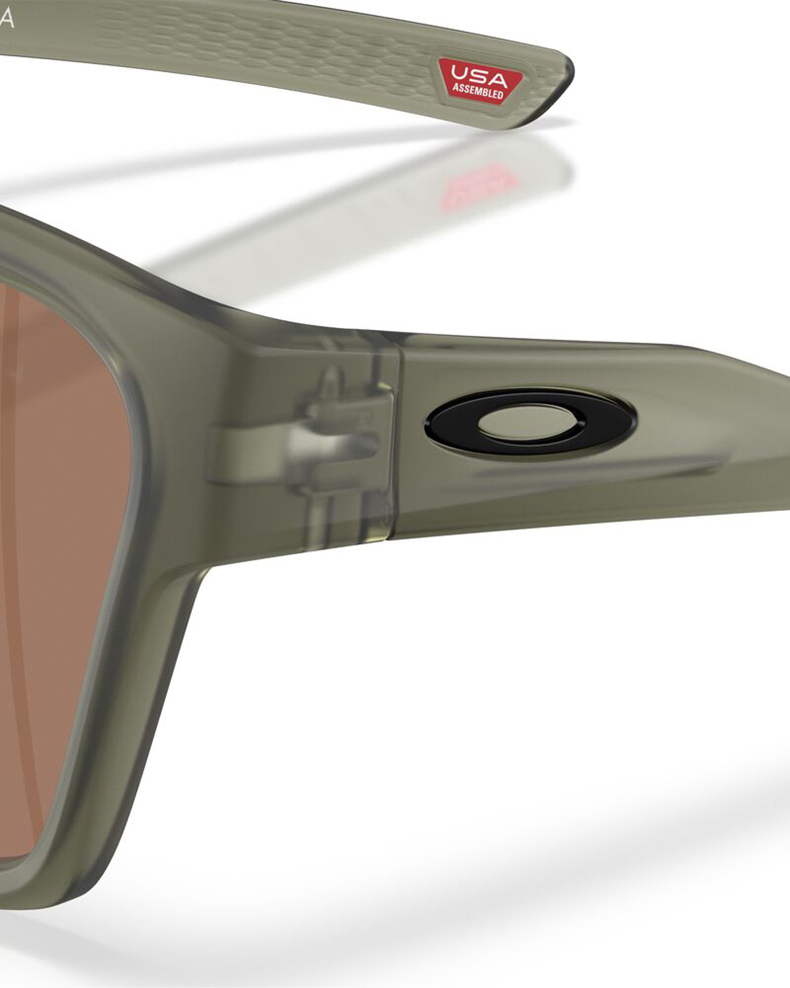 Briza Prizm Polarized