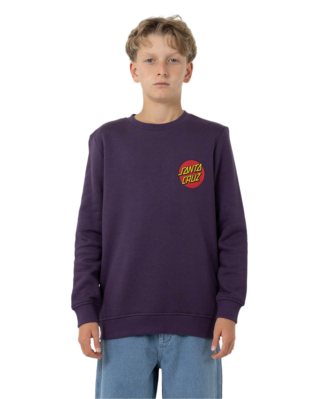 Boys Classic Dot Chest Sweater