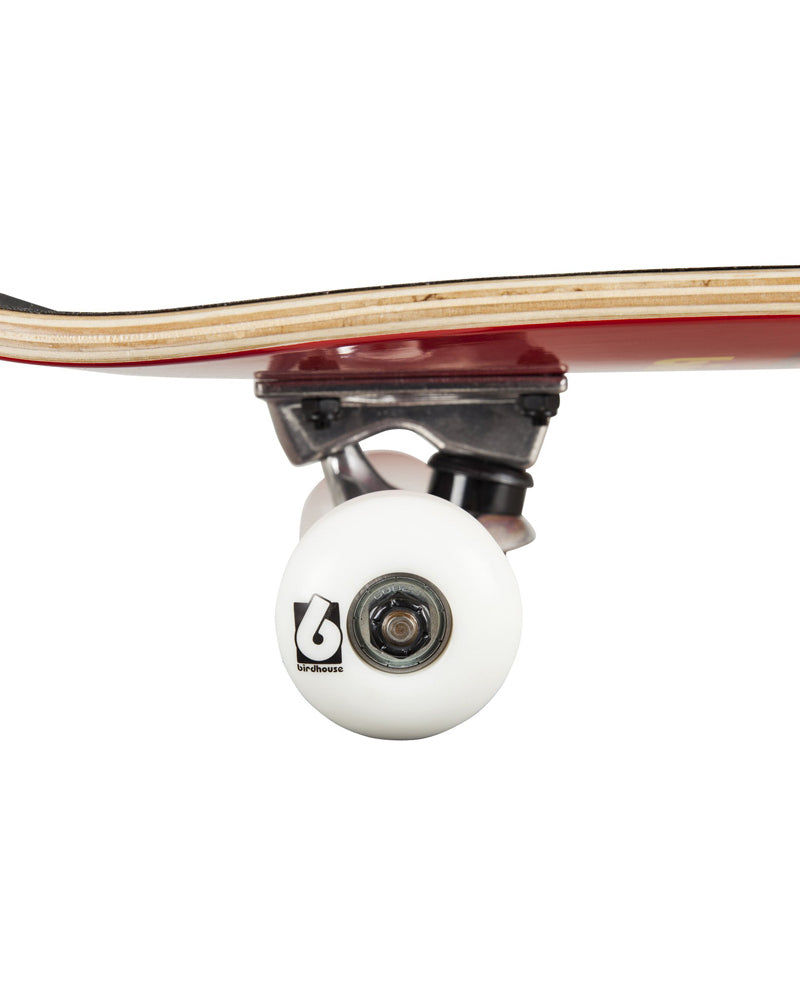 Chicken Mini Complete