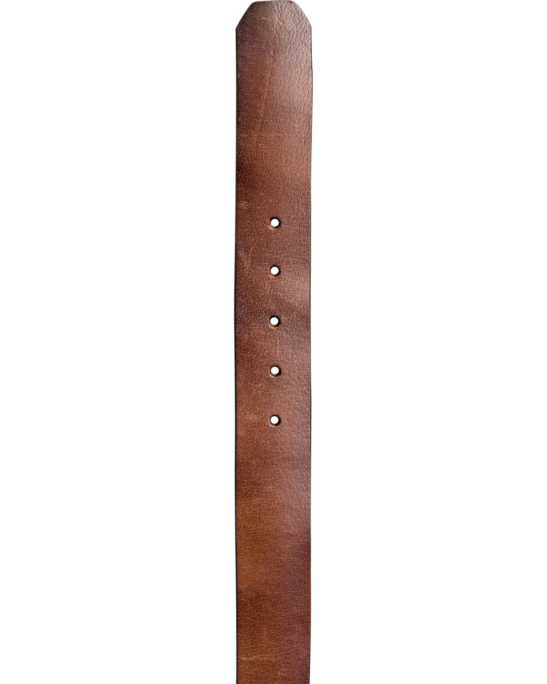 The Everydaily 3 Belt