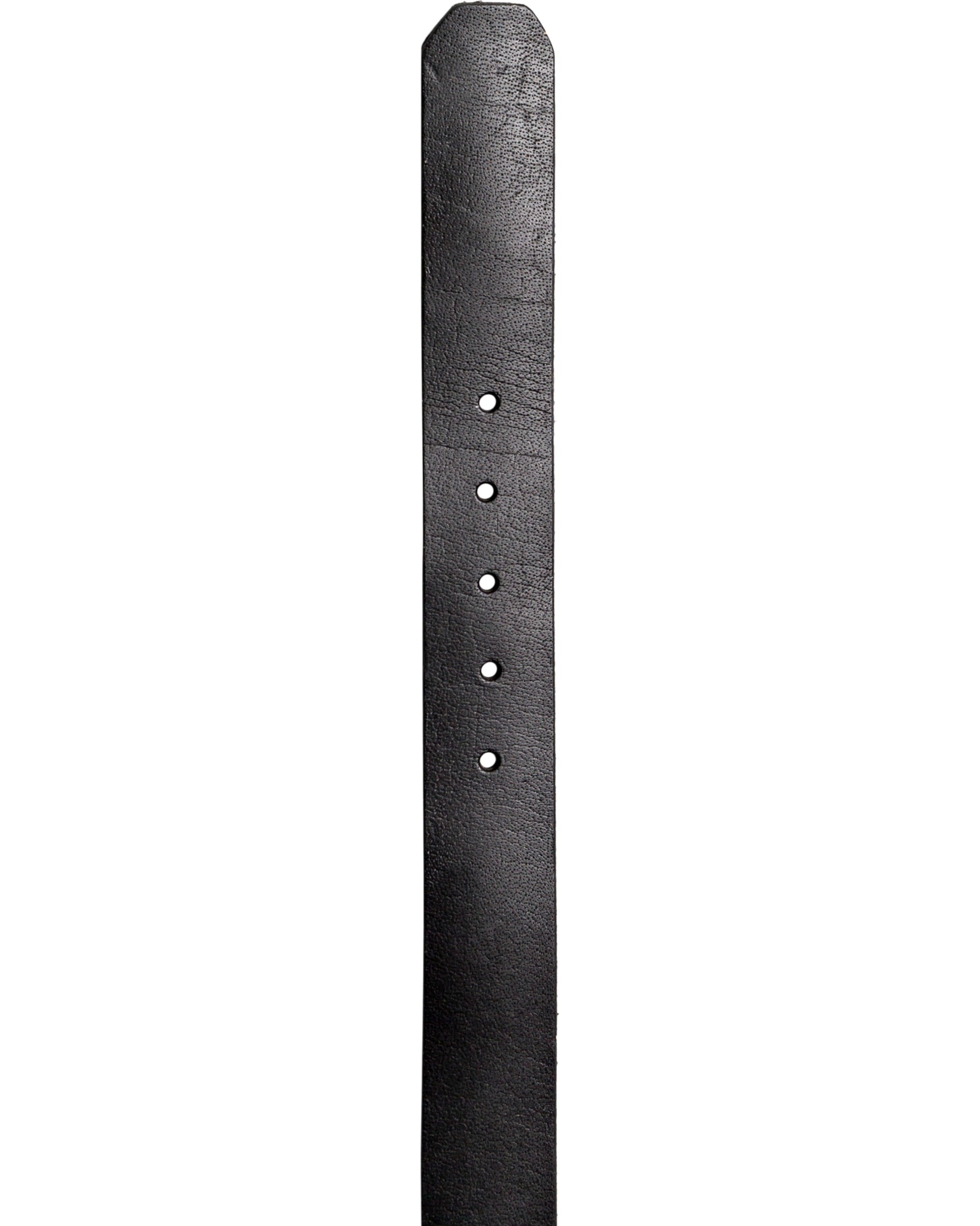 The Everydaily 3 Belt