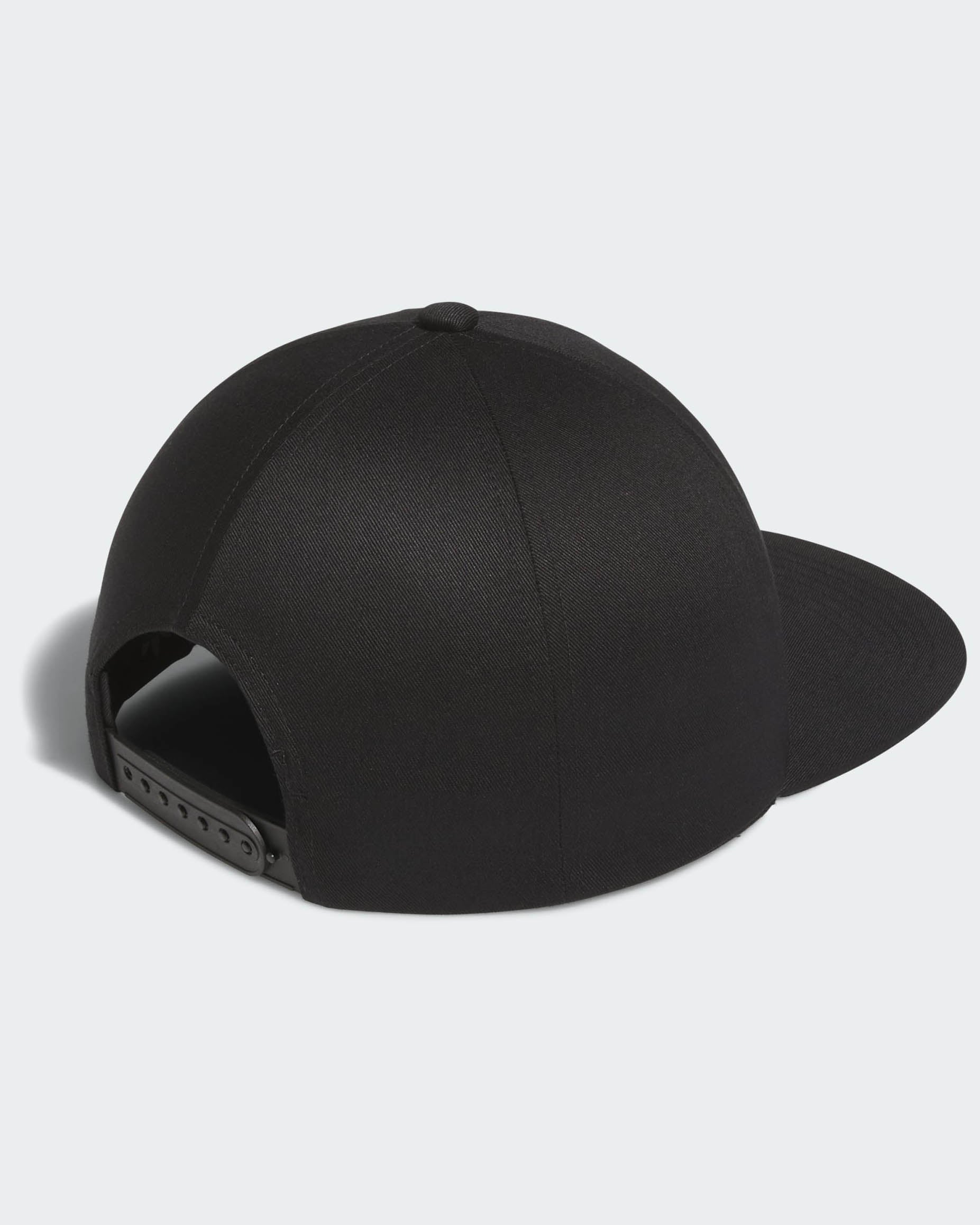 Fsbs Lowk Cap