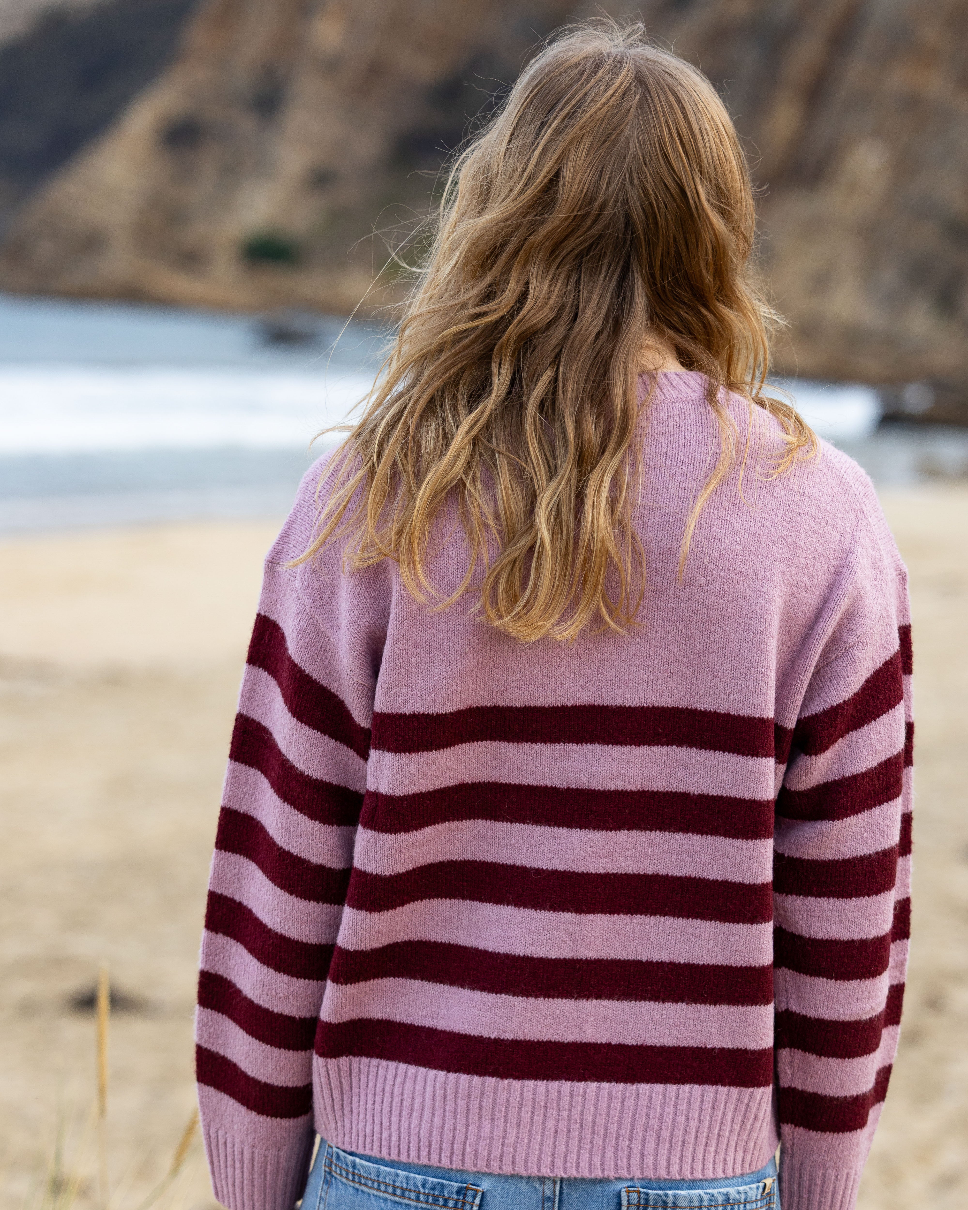 Stripe Knit Crew
