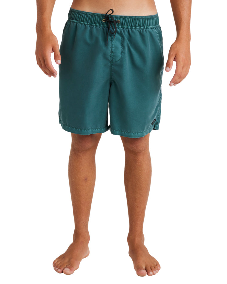 All Day Ovd Layback Boardshort