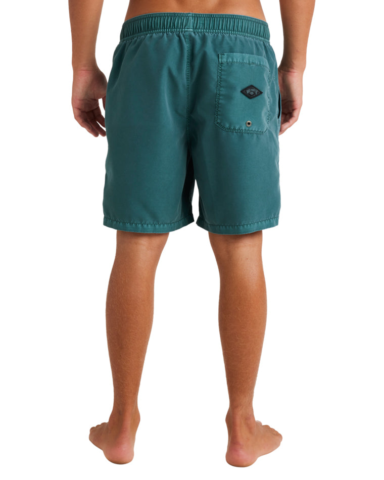 All Day Ovd Layback Boardshort