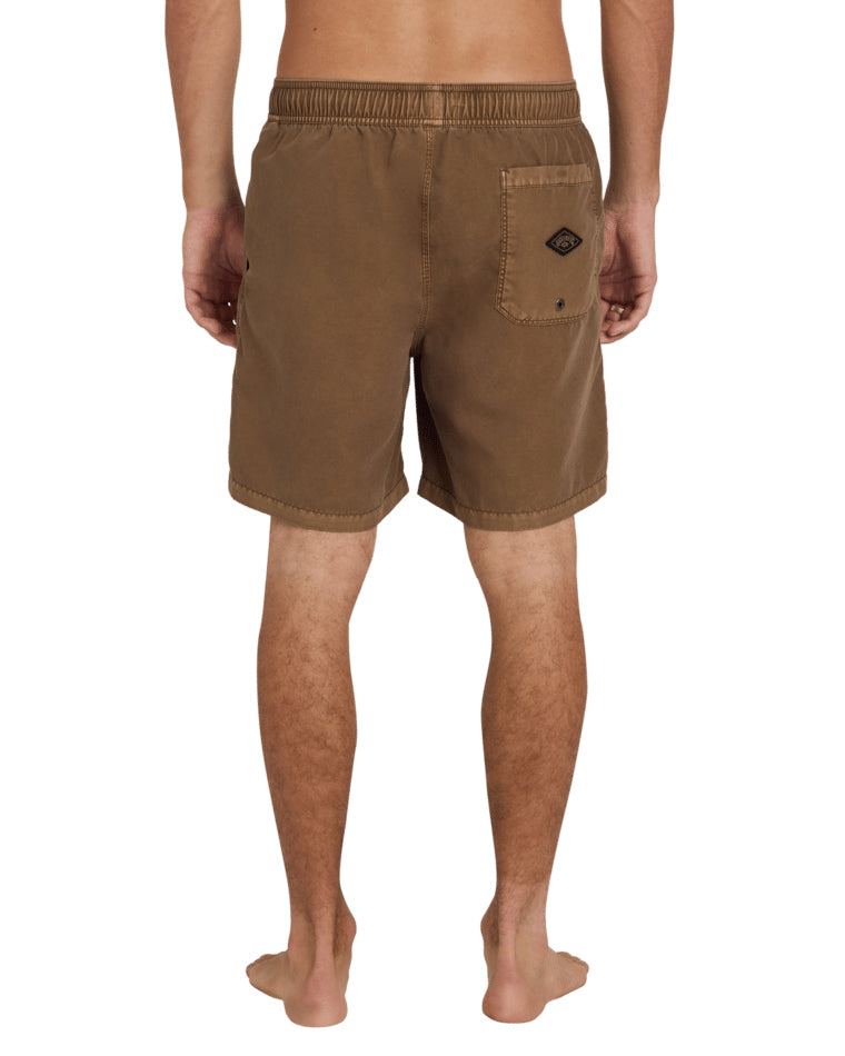 All Day Ovedye Layback Boardshort