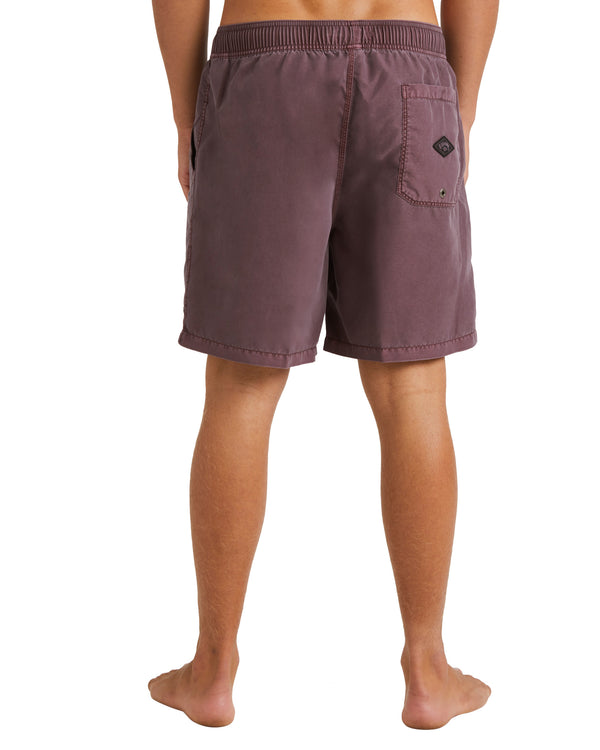 All Day Overdye Layback Boardshort