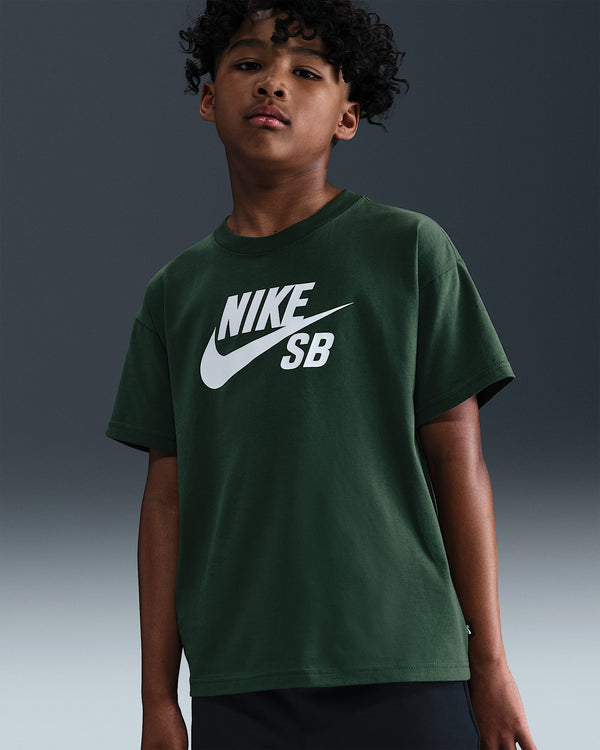 Boys Nike Sb Hbr Tee