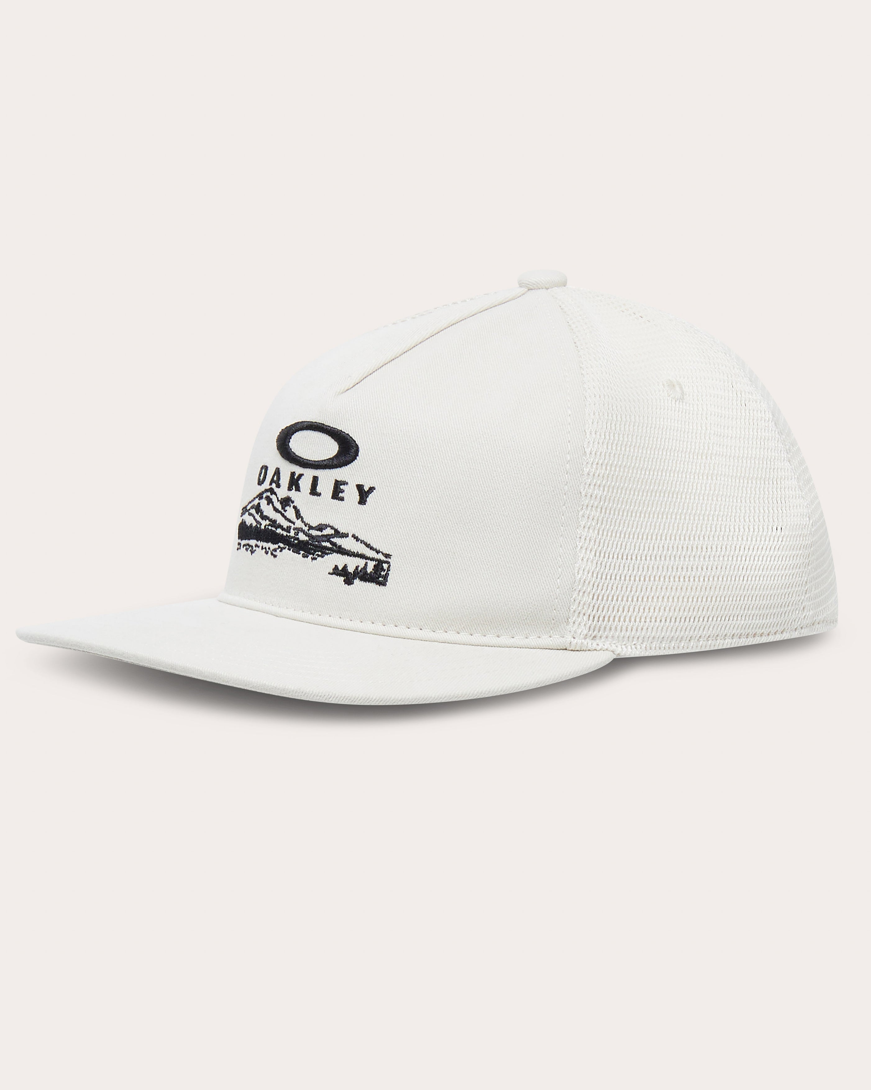 Session Graphic Trucker