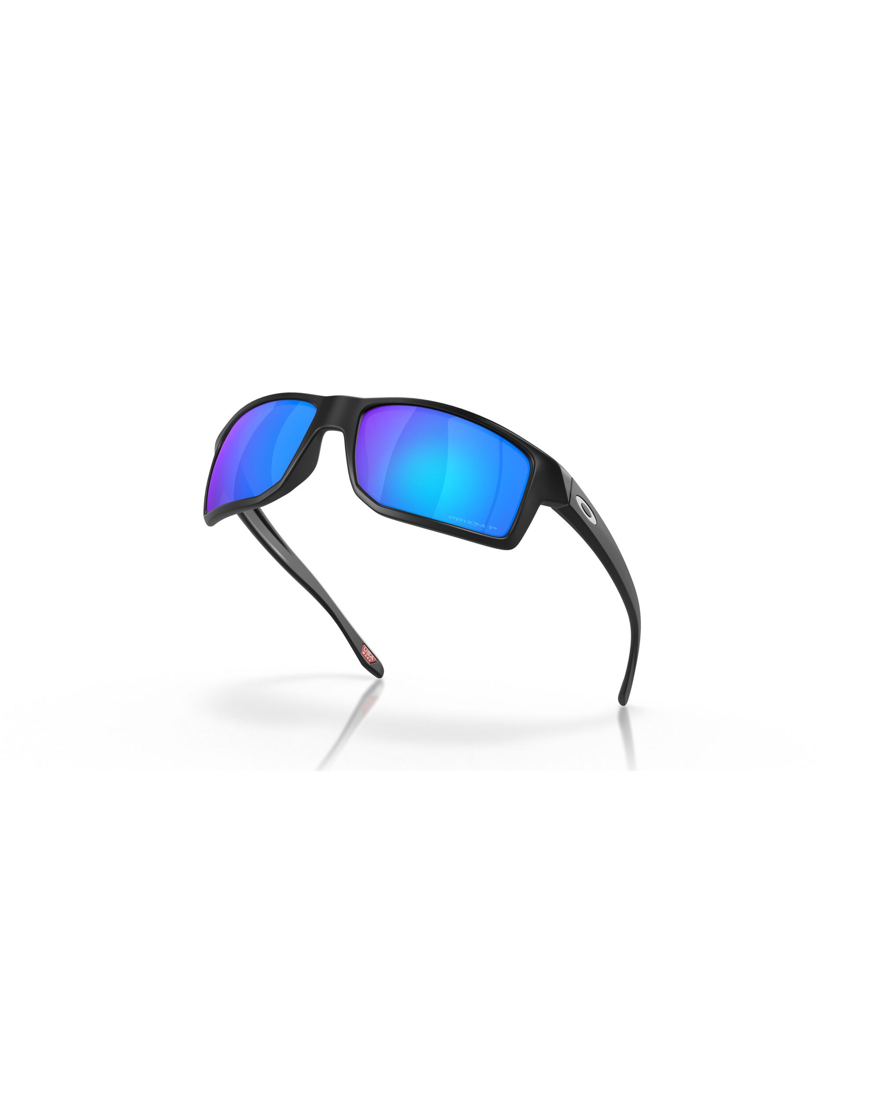 Gibston Prizm Polarized