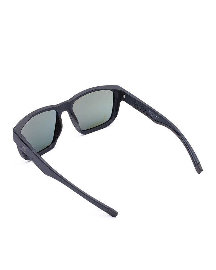 Request Sport Polarized