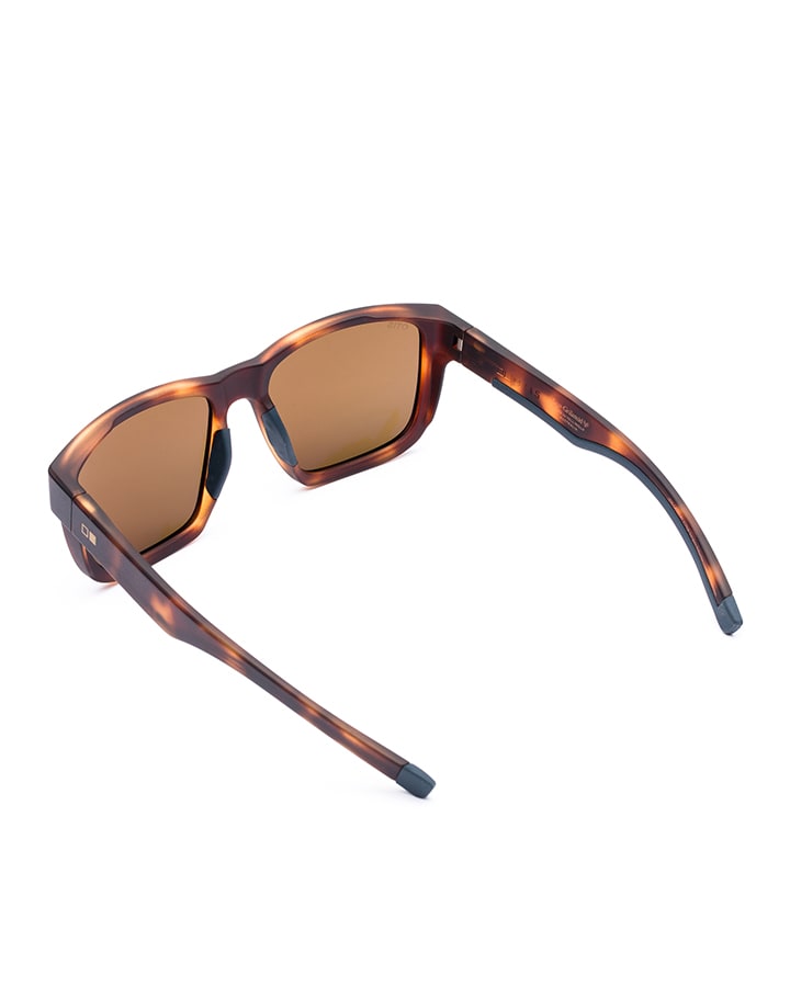 Request Sport Polarized