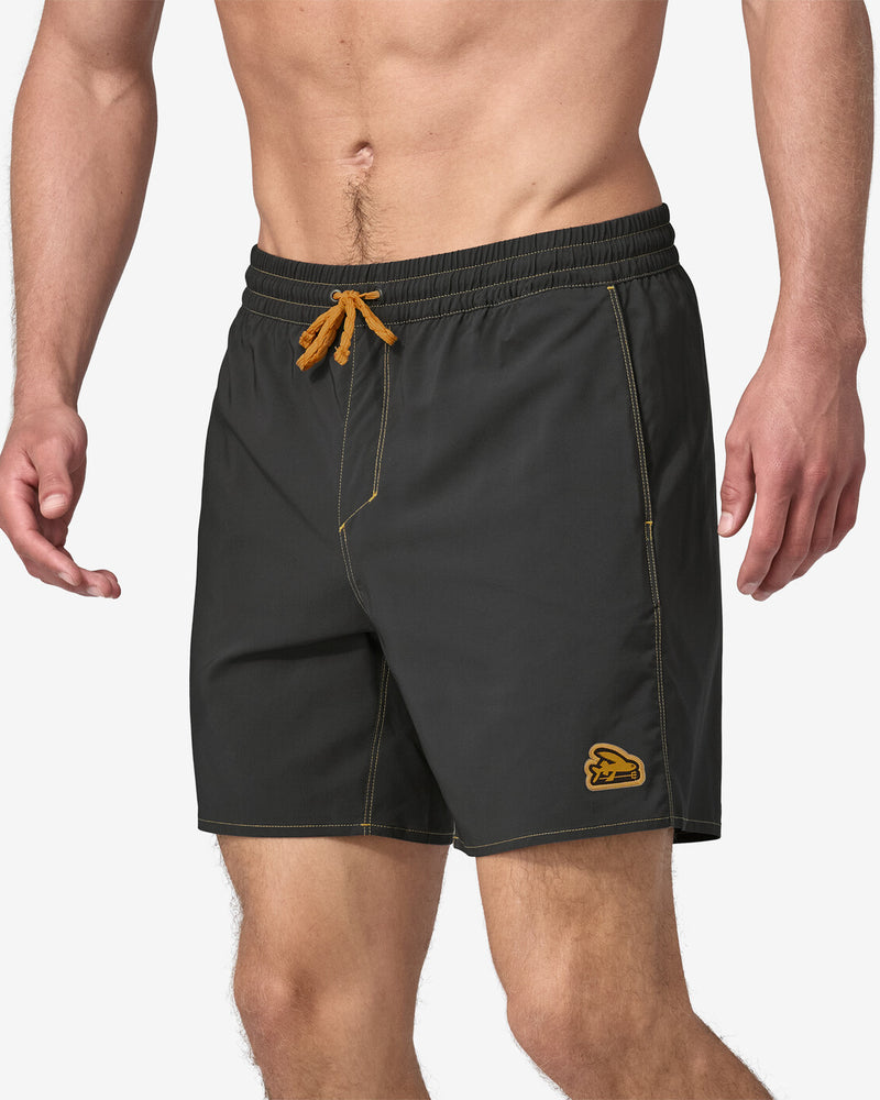 Hydropeak Volley Shorts 16 in