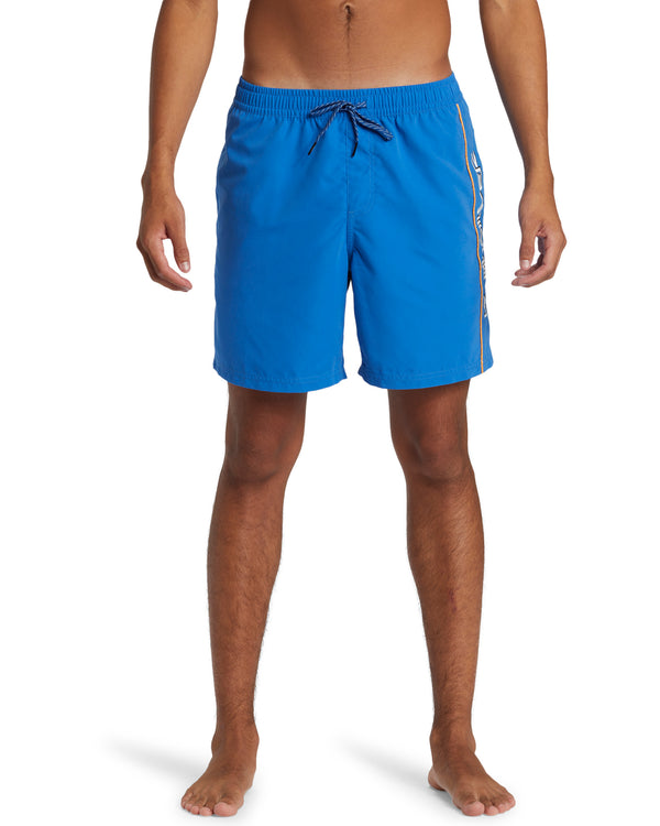 Everyday Vert Volley 2 17 Inch Boardshort