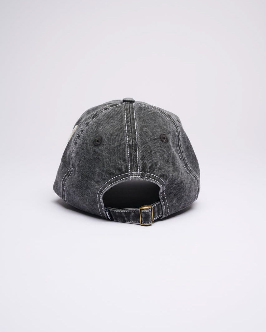 Archive Script Distressed Cap
