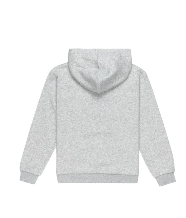 Back view of a grey Roxy hoodie with a relaxed fit, featuring a hood, ribbed cuffs, and a hem for a comfortable casual style.