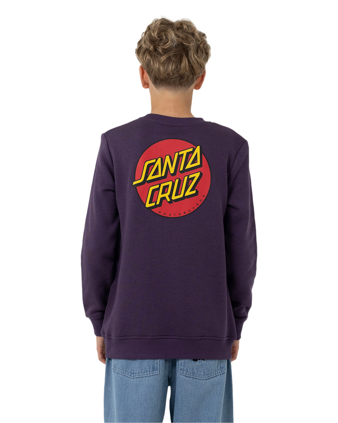 Boys Classic Dot Chest Sweater