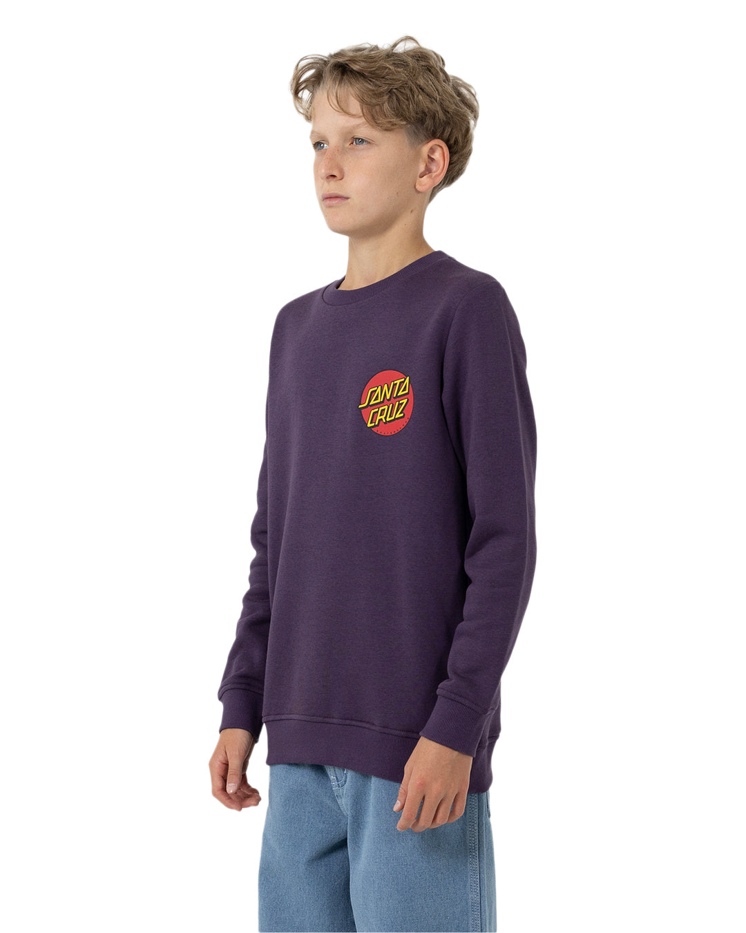 Boys Classic Dot Chest Sweater