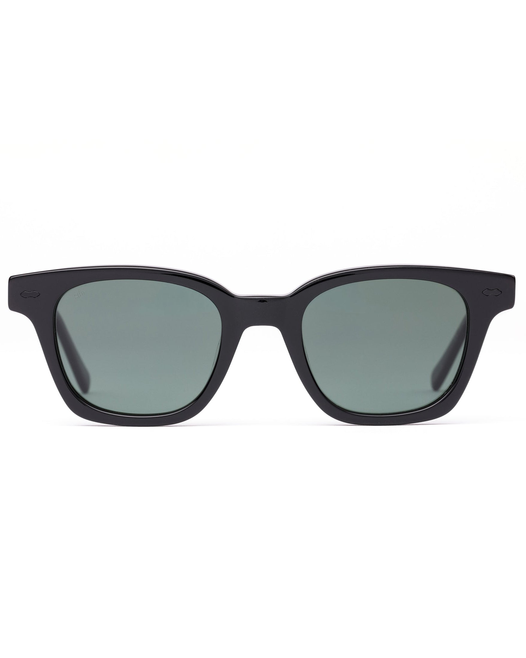 Ryker Polarized