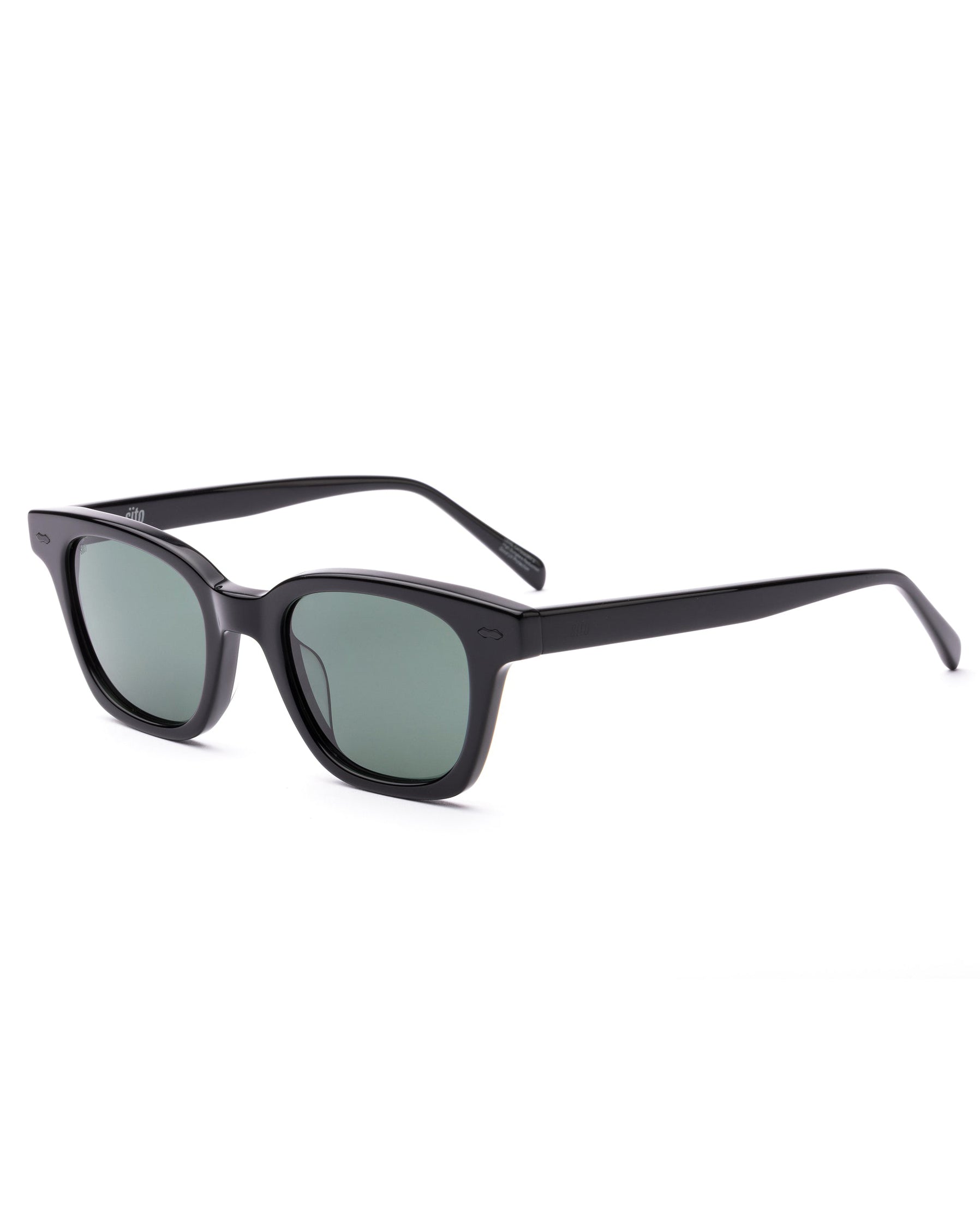 Ryker Polarized