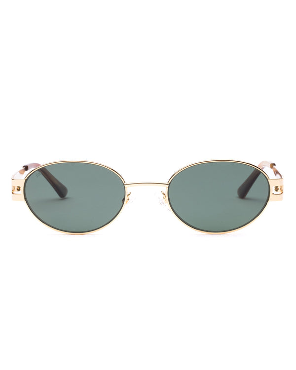 Stevie Polarized