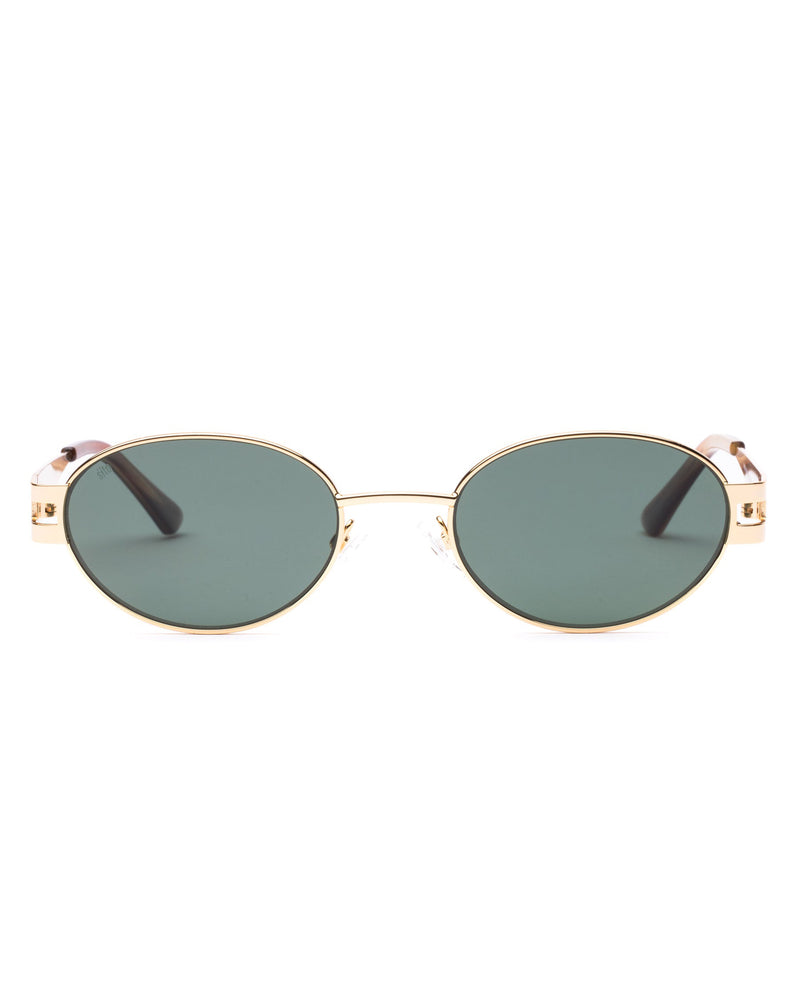 Stevie Polarized