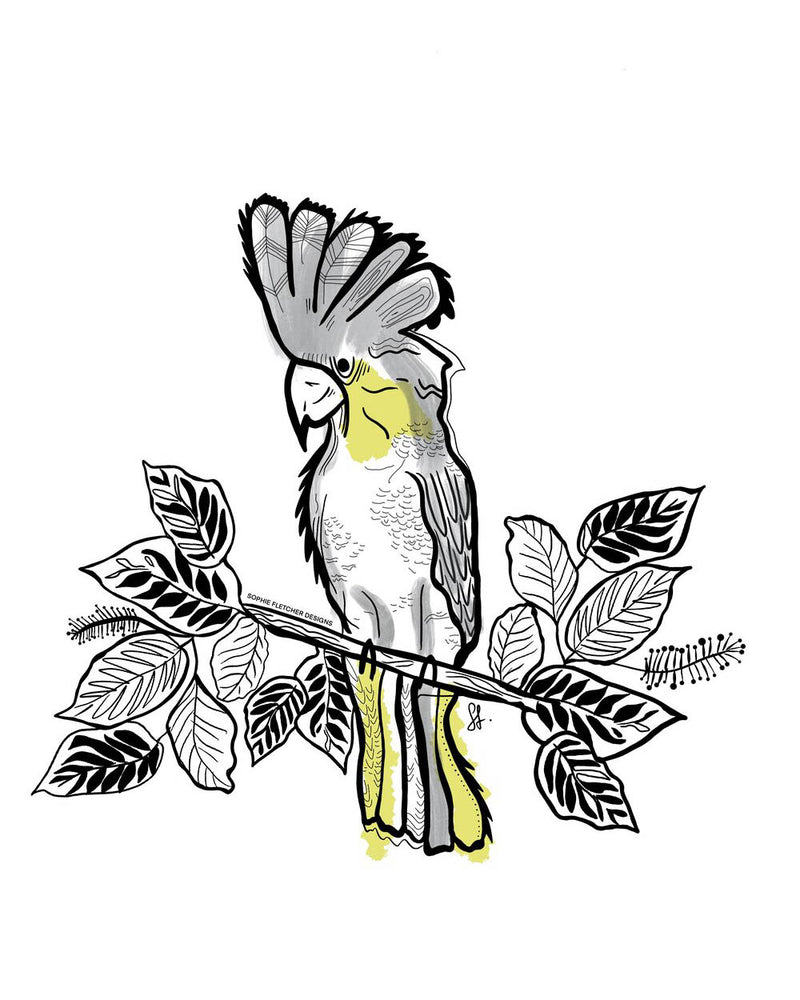 Cockatoo Sticker