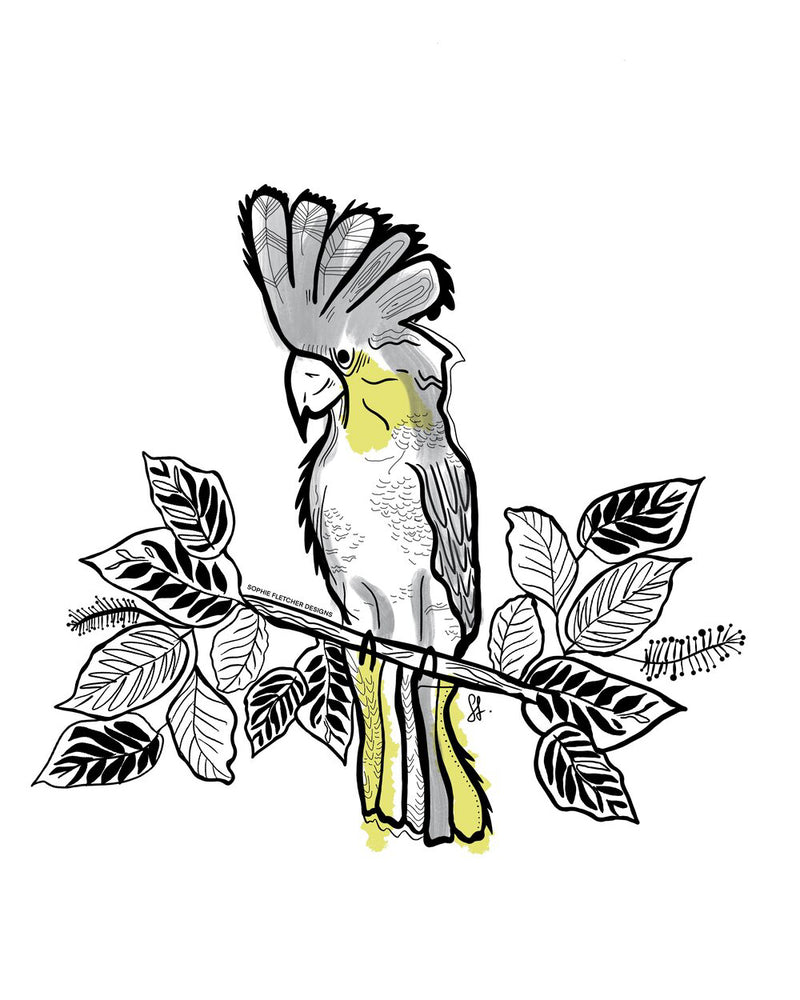 Cockatoo Sticker