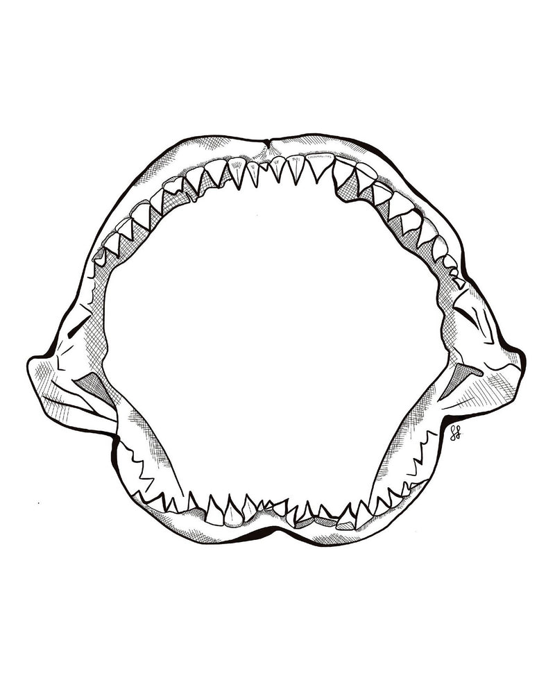 Shark Jaw Sticker