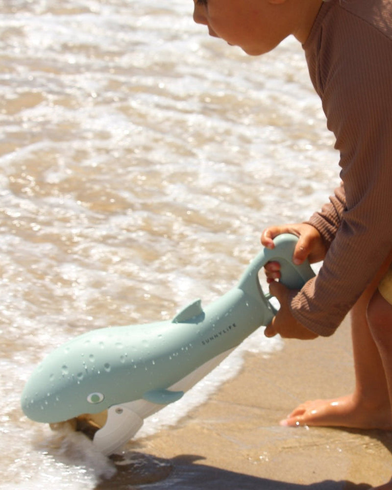 Whale Sand Claws