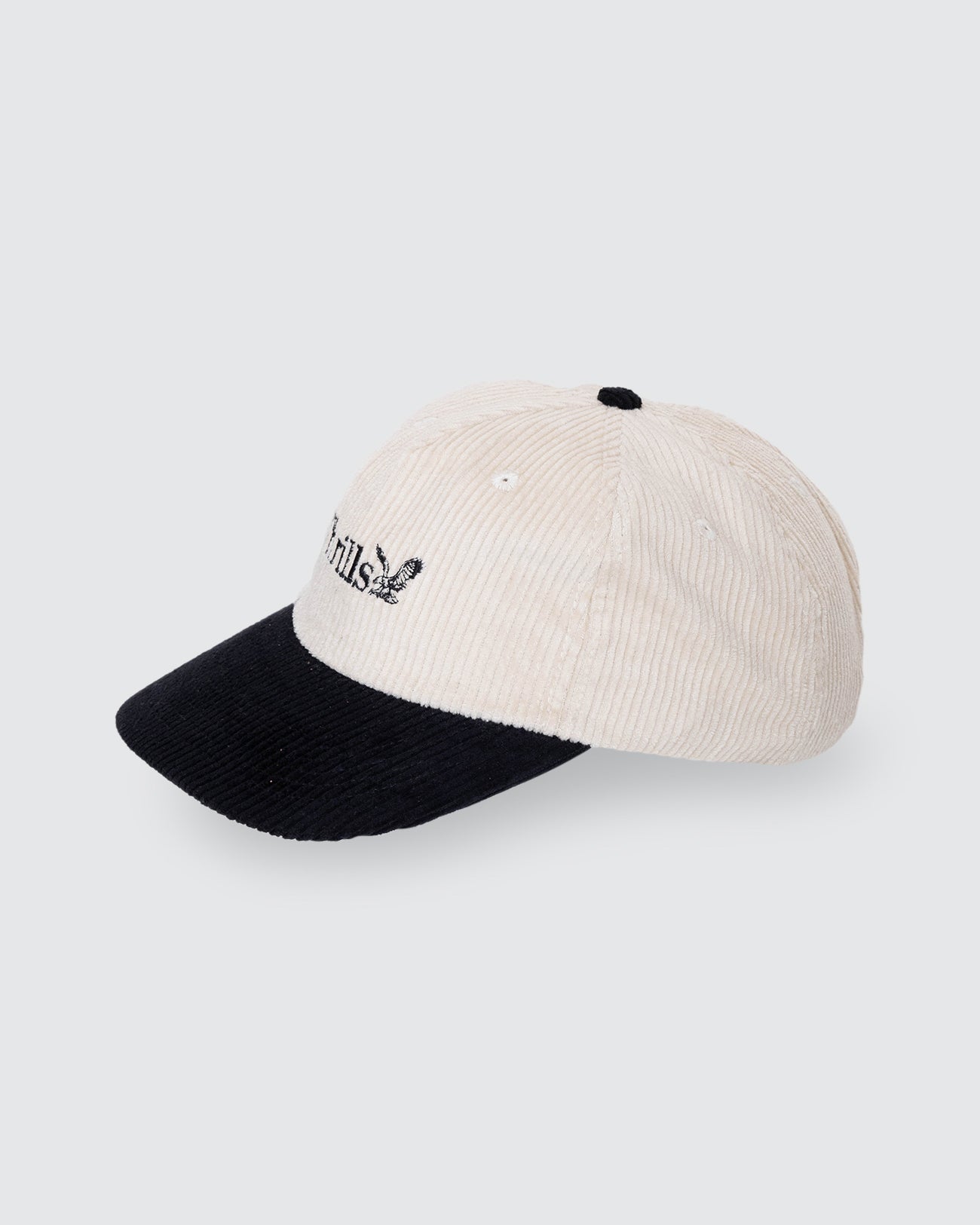 Thrills Union 5 Panel Cap