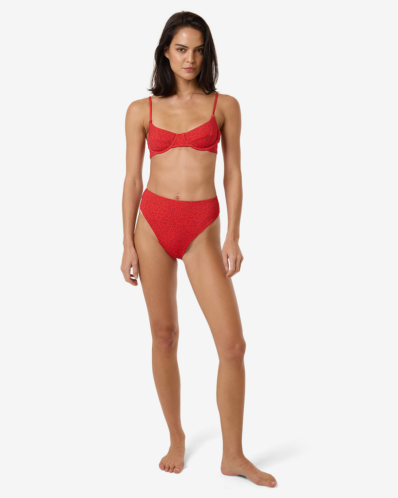 Zinnia Underwire Bikini Top