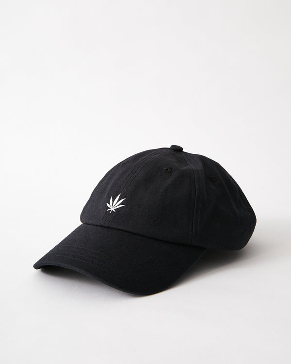 Foundation Hemp 6 Panel Cap