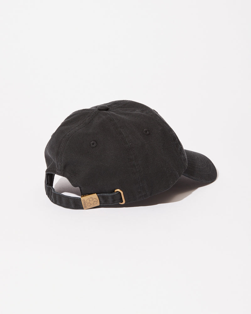 Questions - Recycled Six Panel Cap