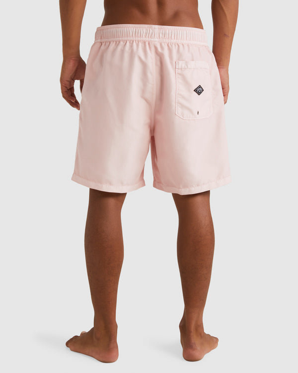 All Day Overdye Layback Boardshort