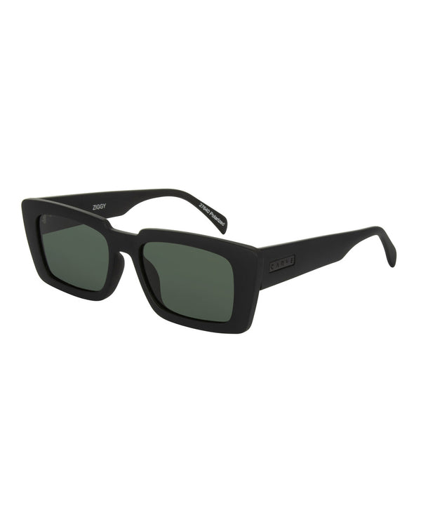 Ziggy Polarized