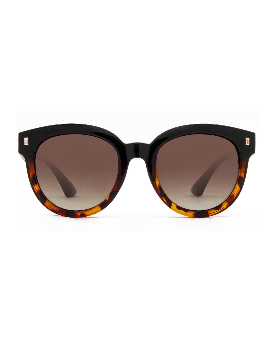 Harpo Polarized
