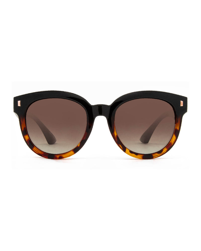 Harpo Polarized