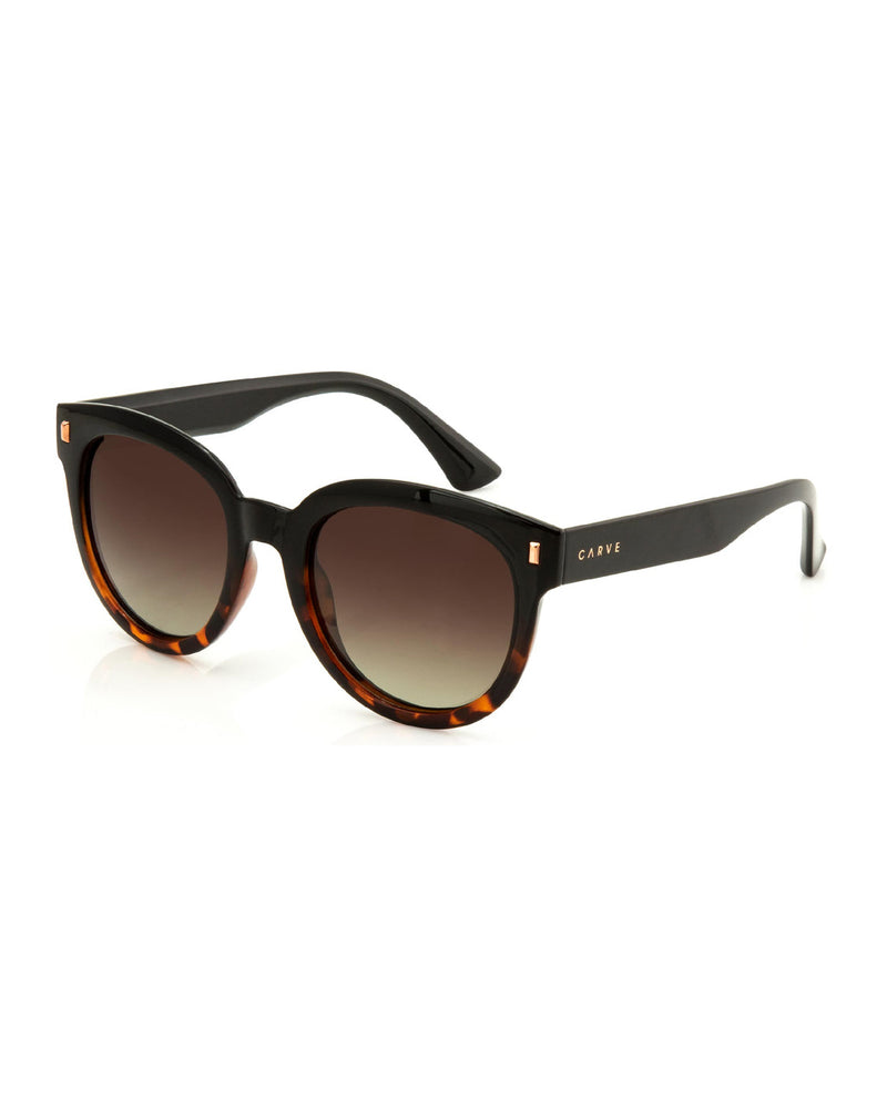 Harpo Polarized