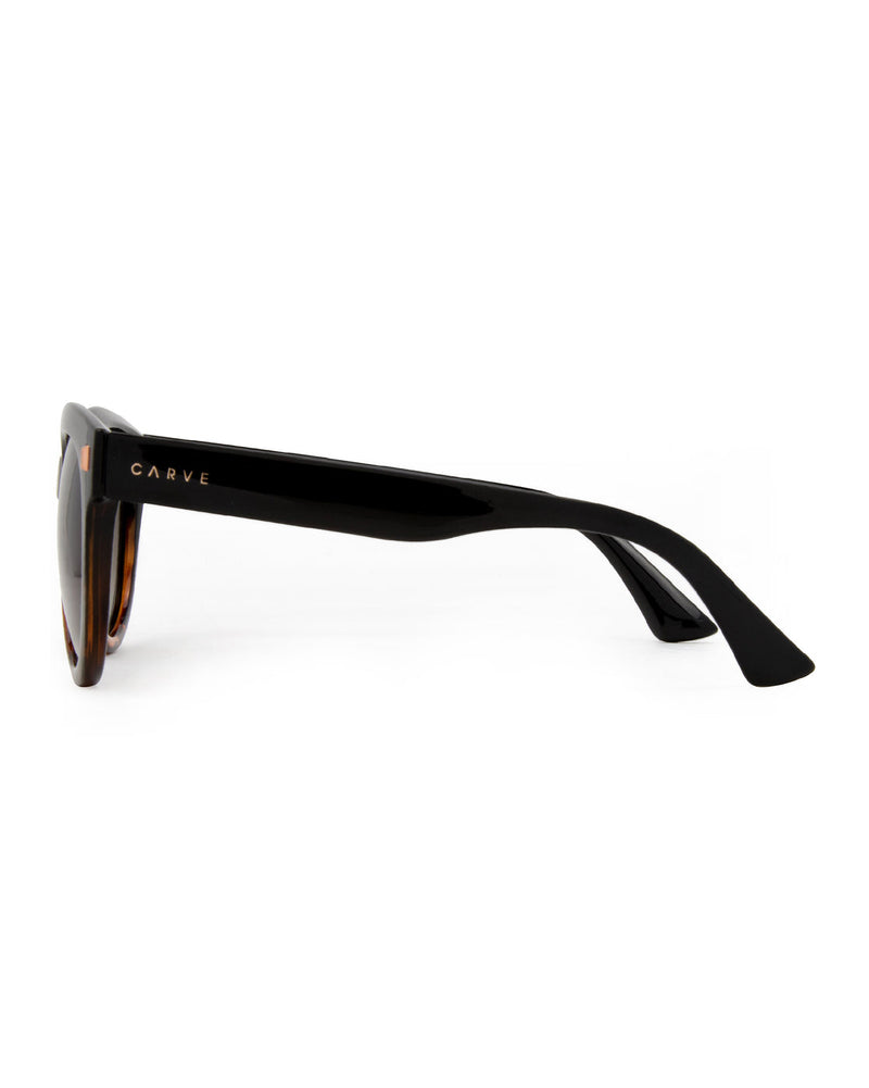 Harpo Polarized