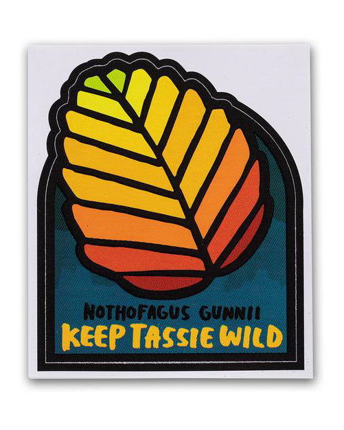 Fagus Bumper Sticker