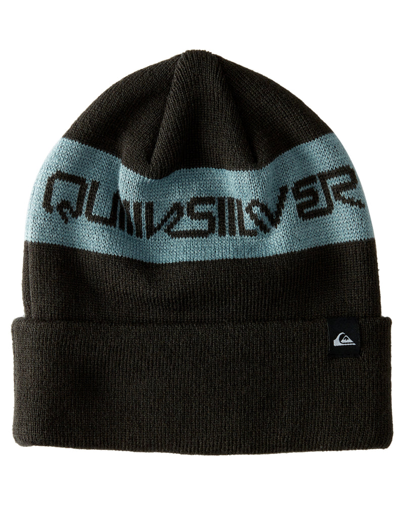 Hunker Downtown Beanie