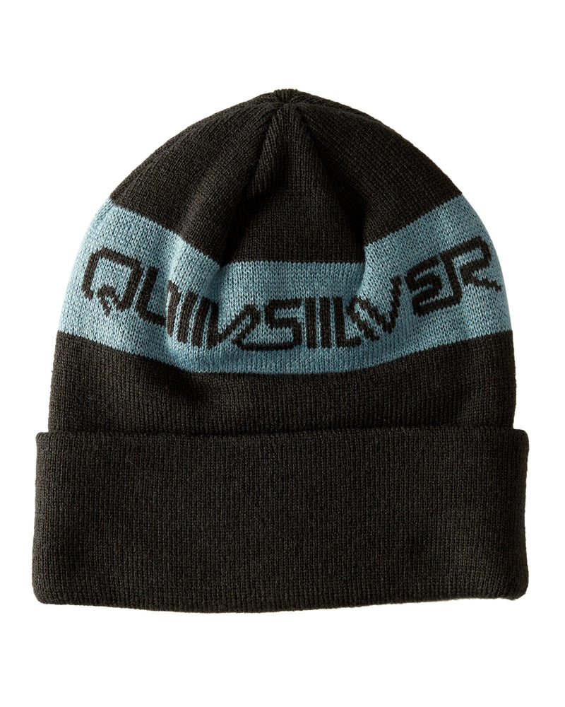 Hunker Downtown Beanie