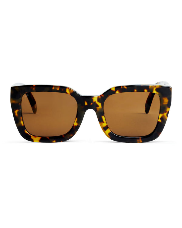 Harlow Polarized