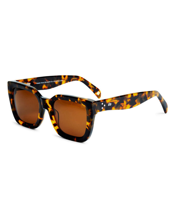 Harlow Polarized